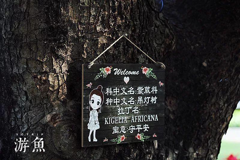 华谊兄弟:《长风破浪终有时》已于1月开机制作